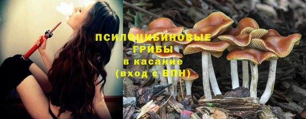 бошки Вязники