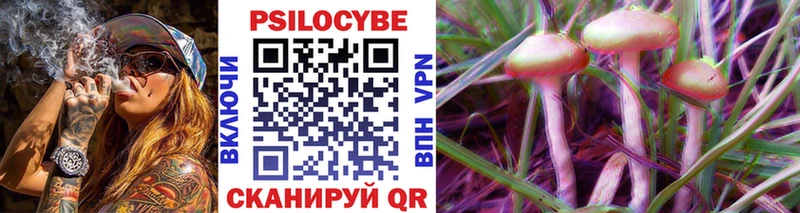 Псилоцибиновые грибы ЛСД  наркошоп  Кузнецк 