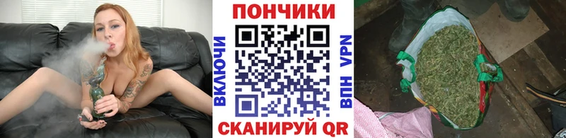 Бошки марихуана конопля  наркотики  Кузнецк 